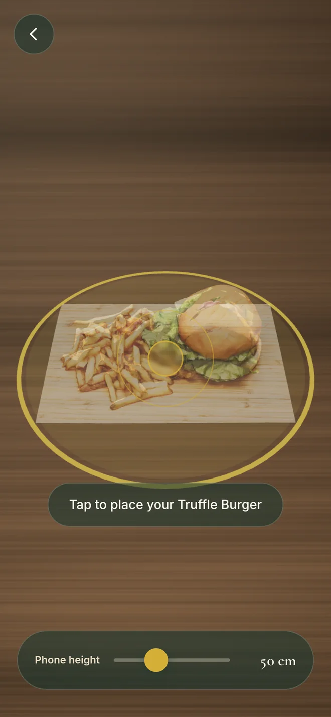 The AR view showing a translucent preview of the dish on the table before placing it